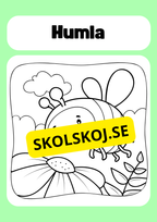 Färglägg insekter