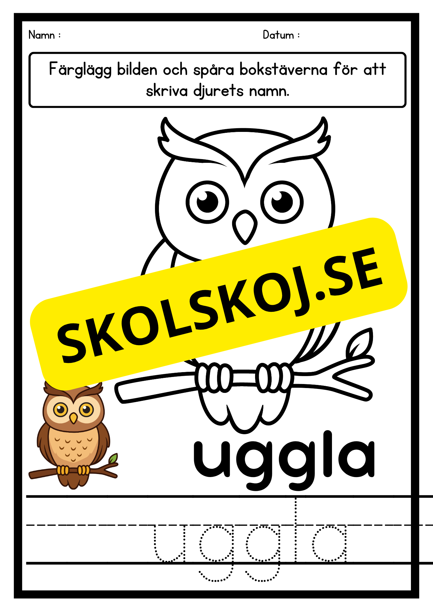 Färglägg och skriv – Djur