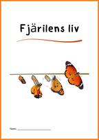 Fjärilens liv - Häfte 20 sidor