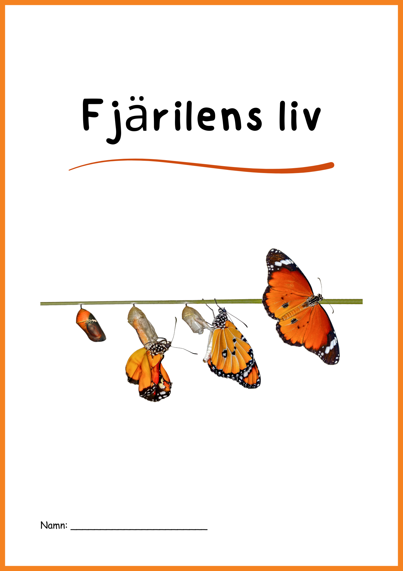 Fjärilens liv - Häfte 20 sidor