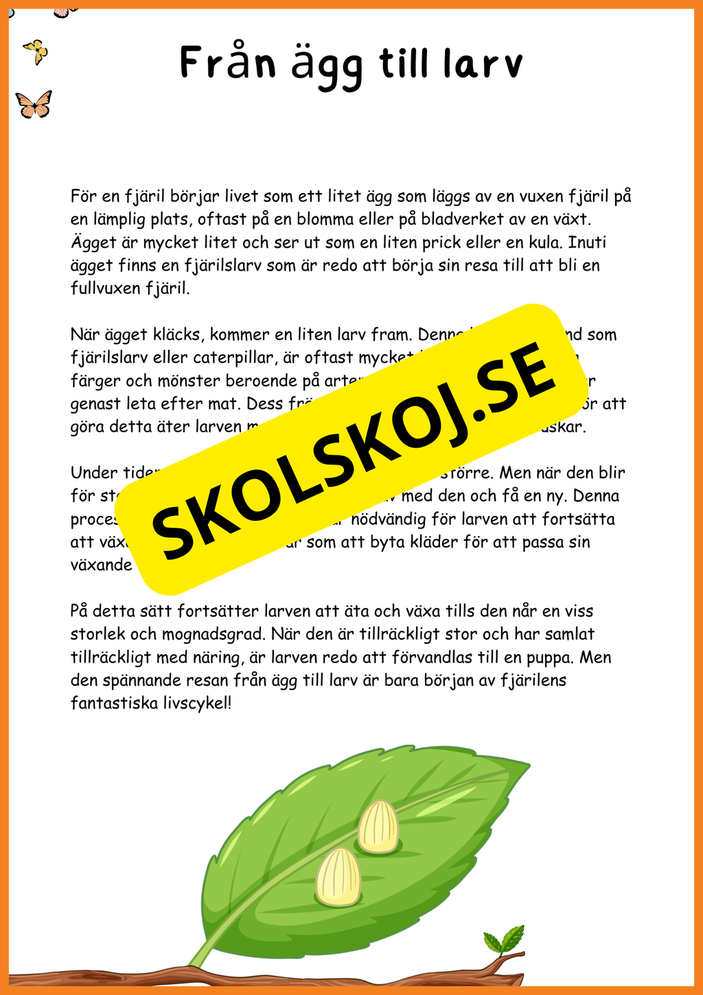 Fjärilens liv - Häfte 20 sidor