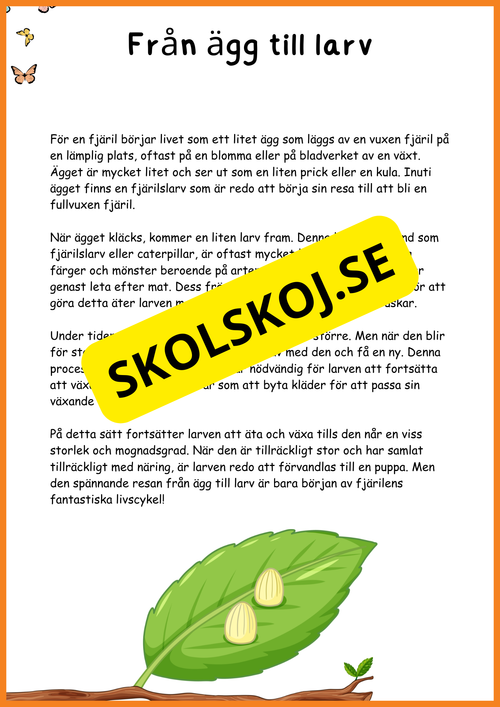 Fjärilens liv - Häfte 20 sidor