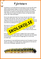 Fjärilens liv - Häfte 20 sidor