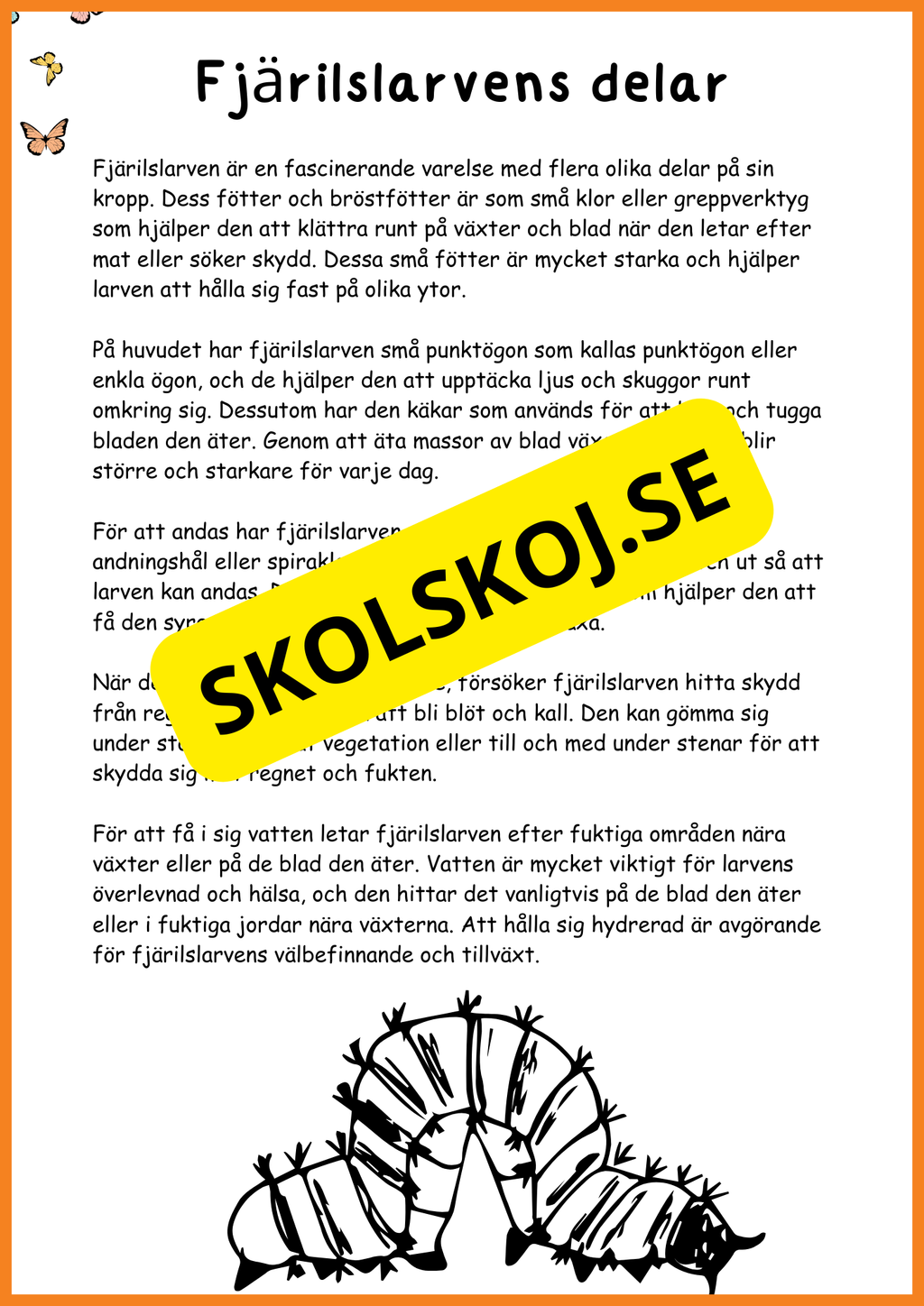 Fjärilens liv - Häfte 20 sidor