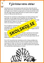 Fjärilens liv - Häfte 20 sidor