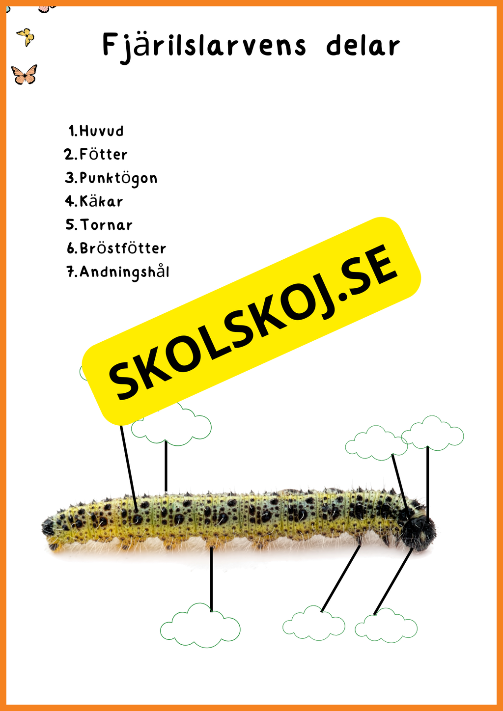 Fjärilens liv - Häfte 20 sidor