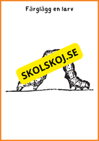 Fjärilens liv - Häfte 20 sidor