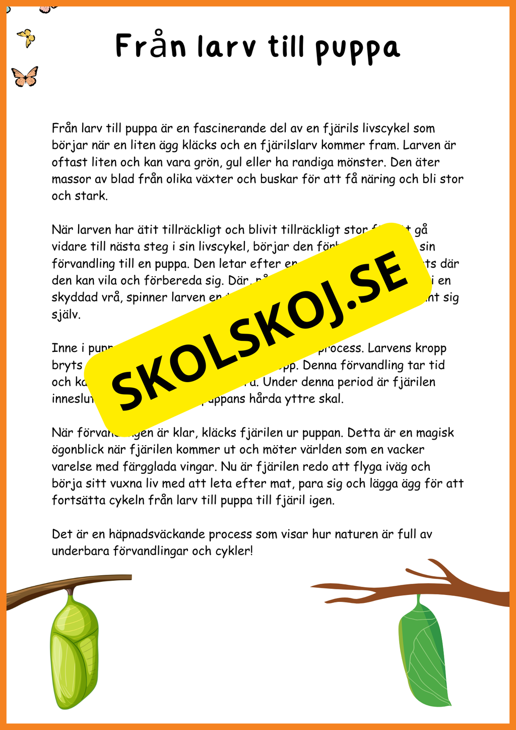 Fjärilens liv - Häfte 20 sidor