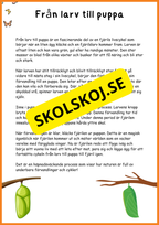 Fjärilens liv - Häfte 20 sidor