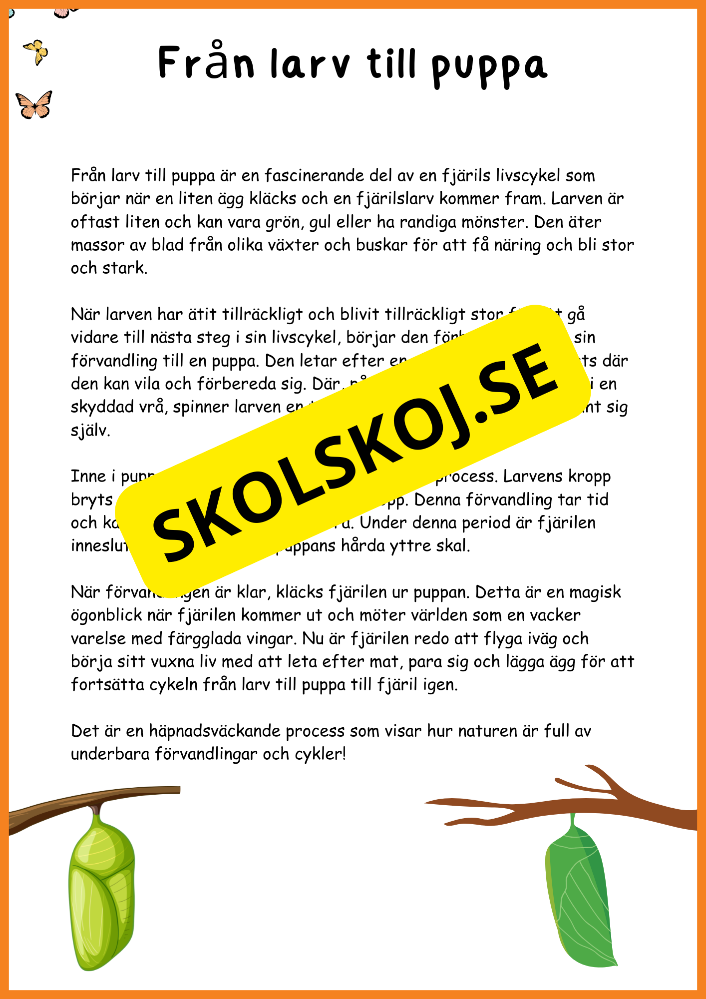 Fjärilens liv - Häfte 20 sidor