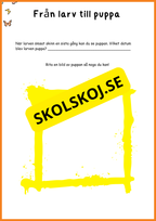 Fjärilens liv - Häfte 20 sidor