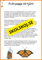 Fjärilens liv - Häfte 20 sidor