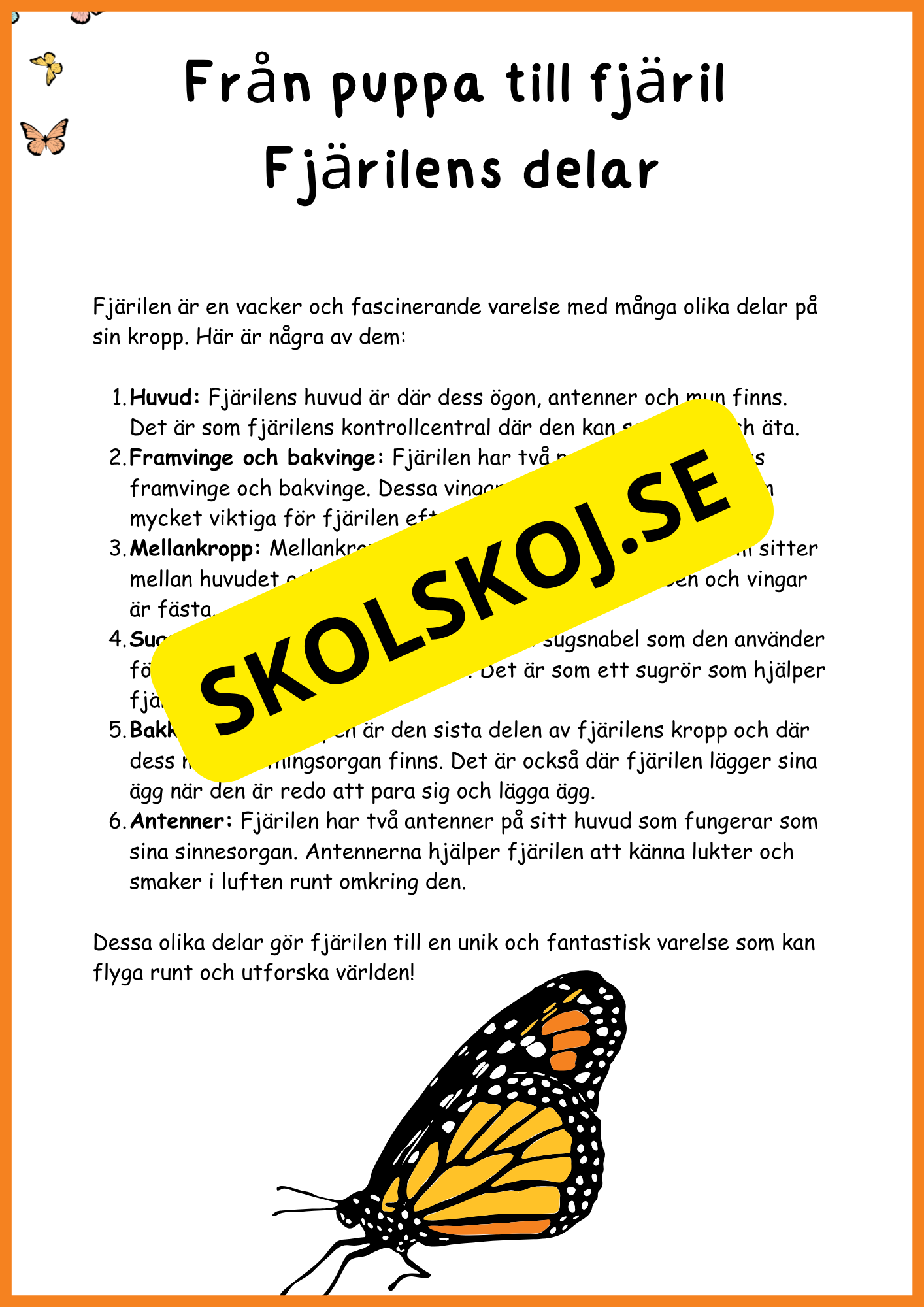 Fjärilens liv - Häfte 20 sidor