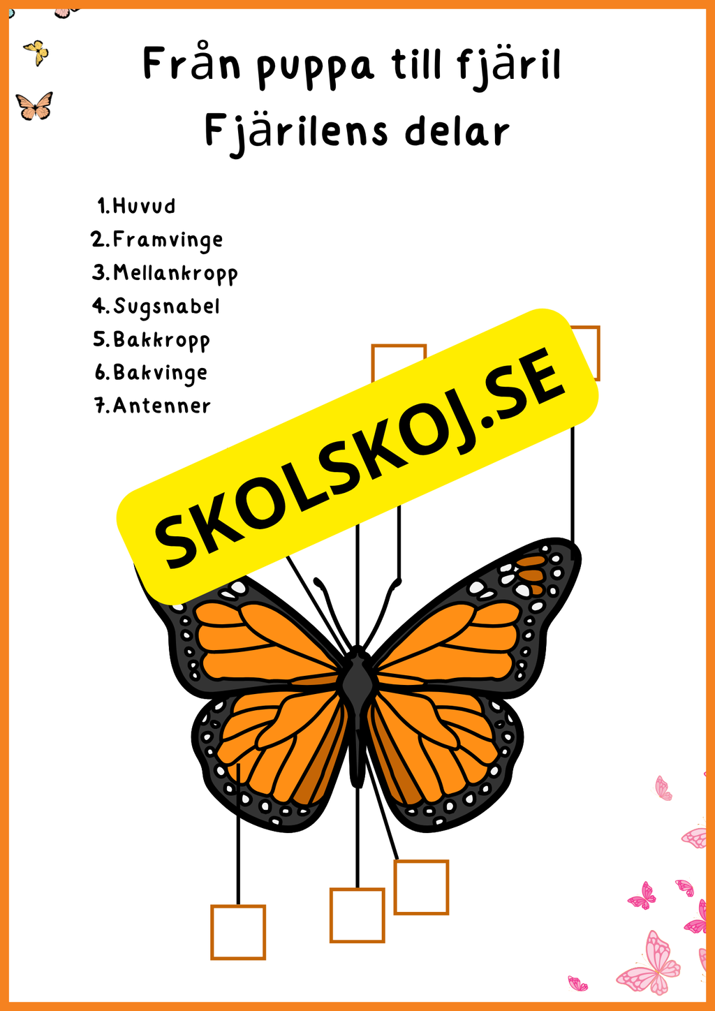 Fjärilens liv - Häfte 20 sidor
