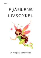 Fjäril livscykel