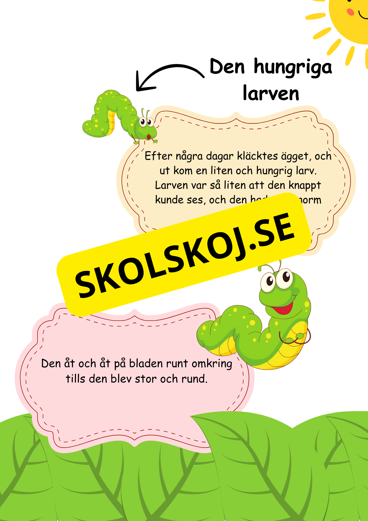 Fjäril livscykel