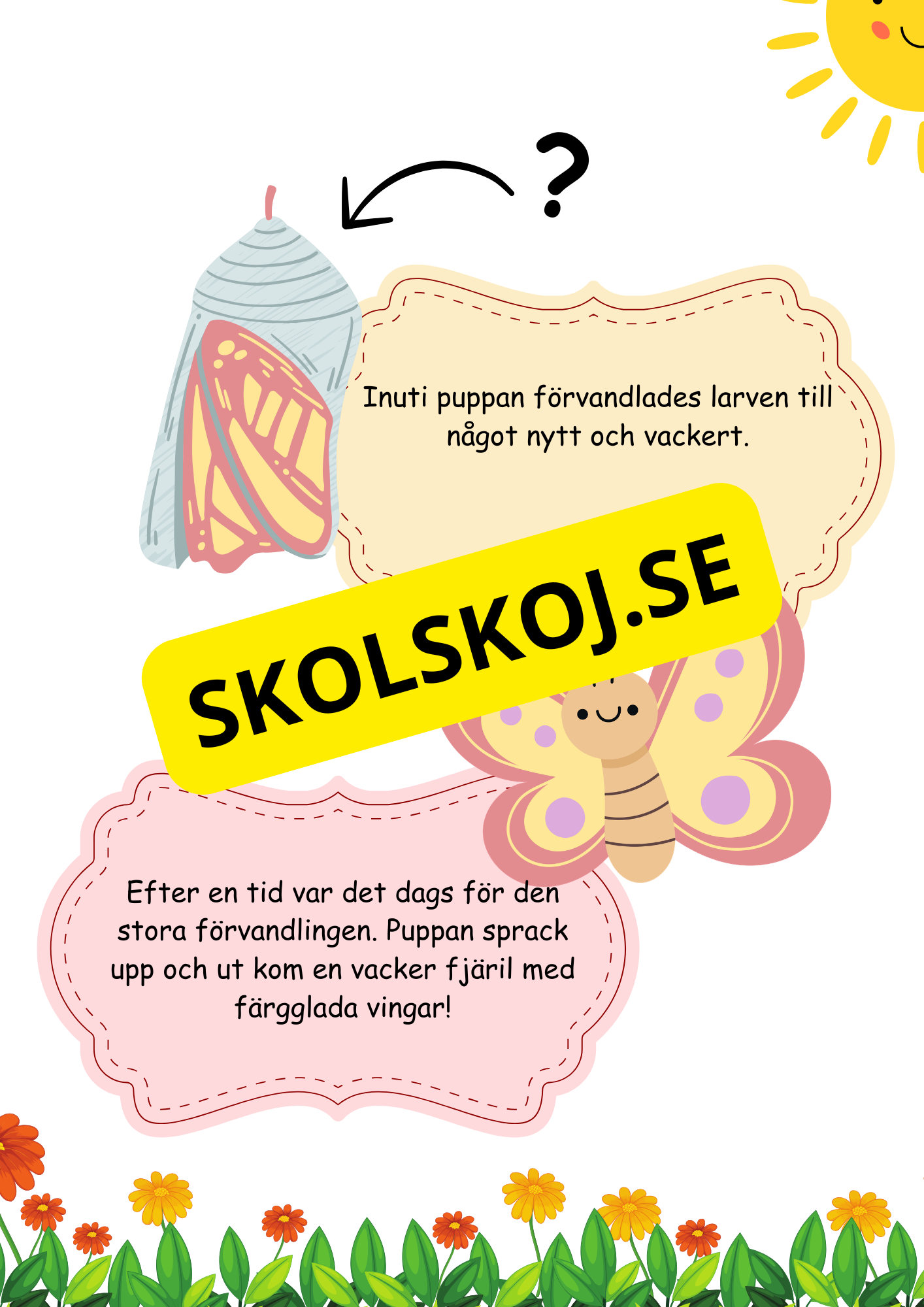 Fjäril livscykel