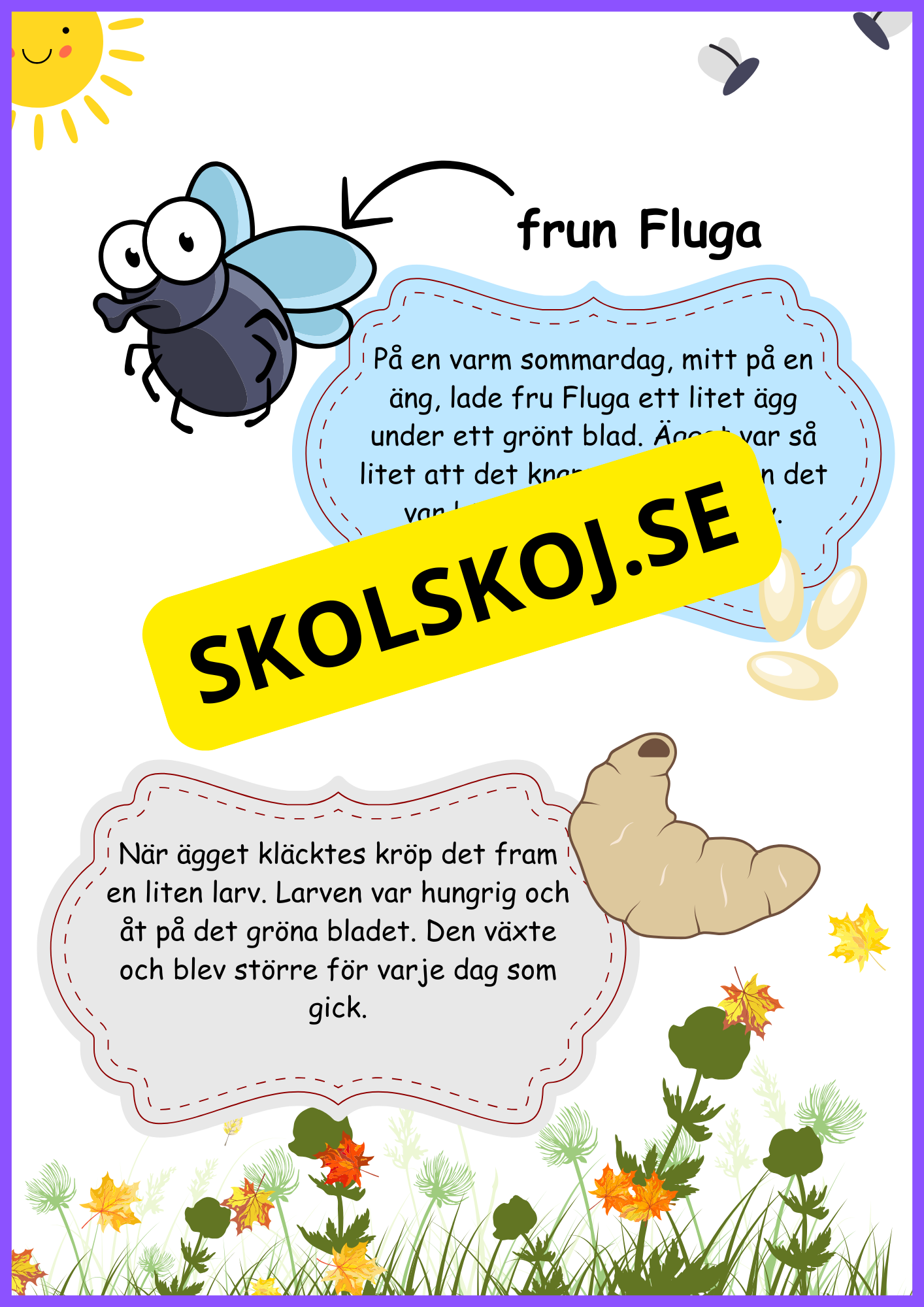 Flugans livscykel