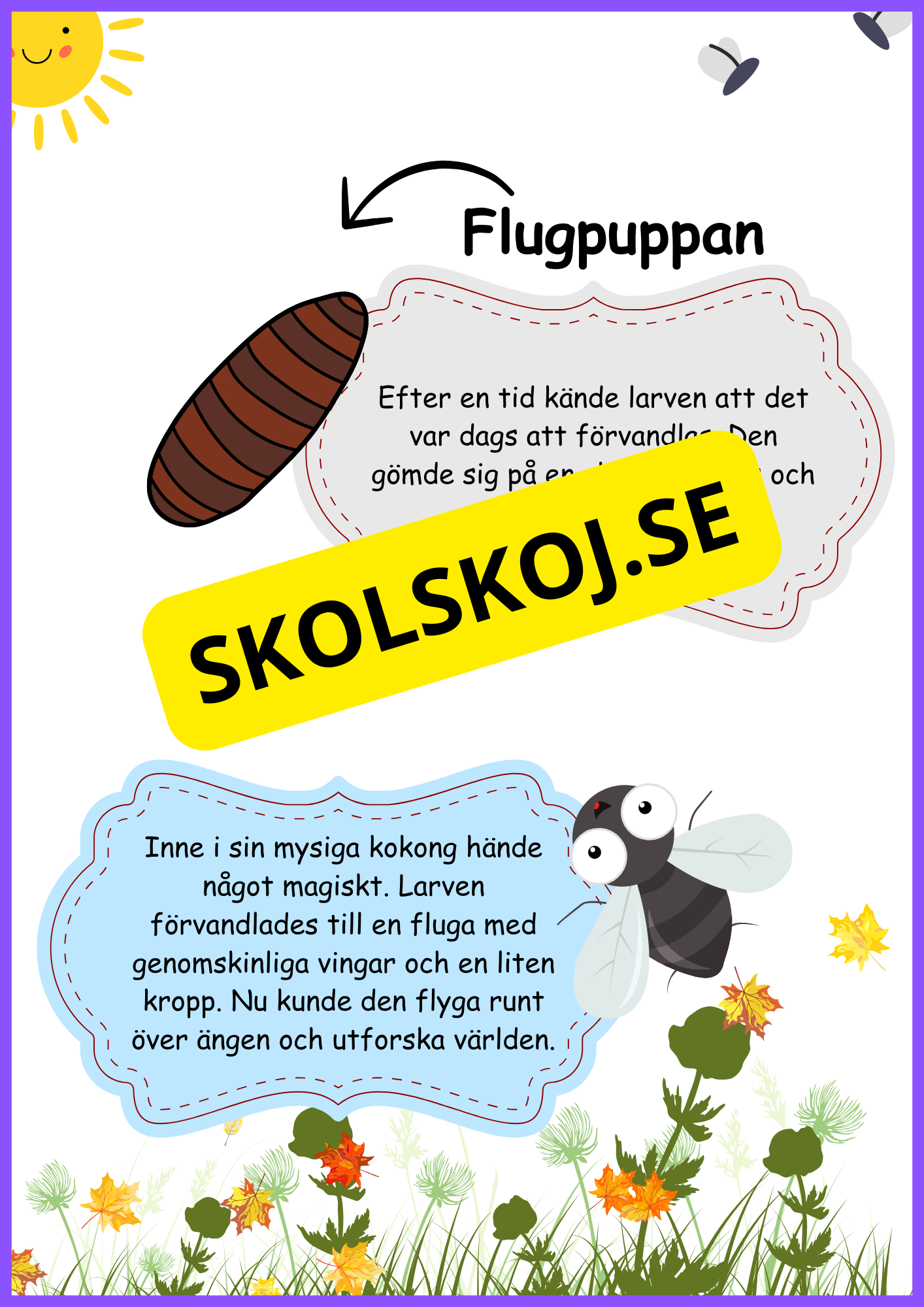 Flugans livscykel