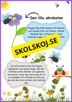 Flugans livscykel