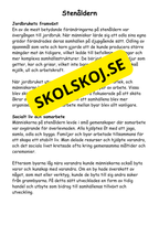 Forntiden:  En spännande resa (27 sidor)