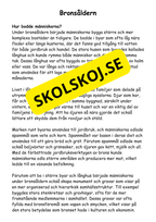 Forntiden:  En spännande resa (27 sidor)