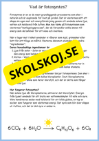 Fotosyntes - Växternas energi - Årskurs 4 - 6