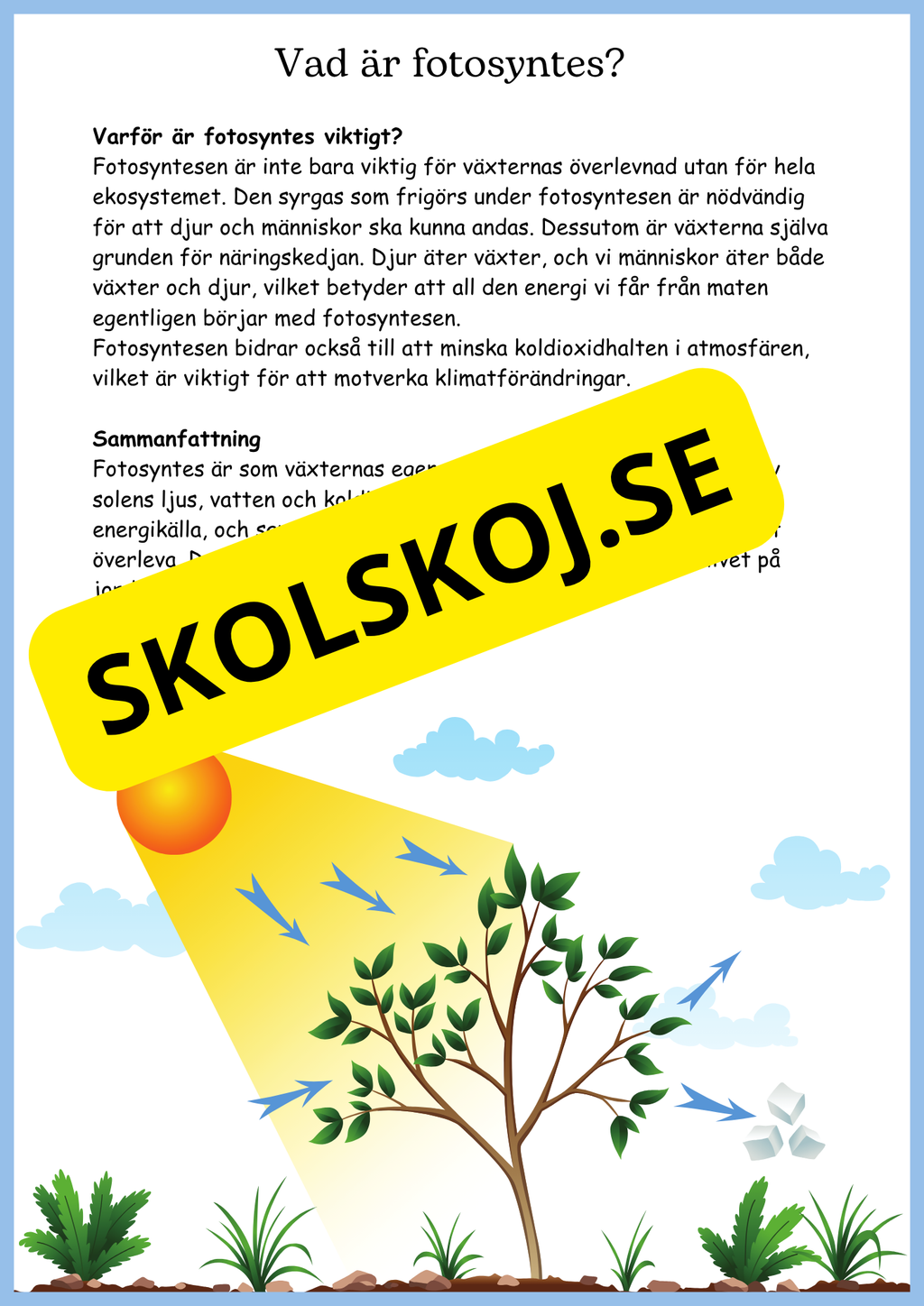 Fotosyntes - Växternas energi - Årskurs 4 - 6