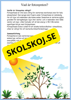 Fotosyntes - Växternas energi - Årskurs 4 - 6
