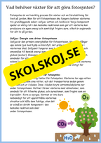 Fotosyntes - Växternas energi - Årskurs 4 - 6