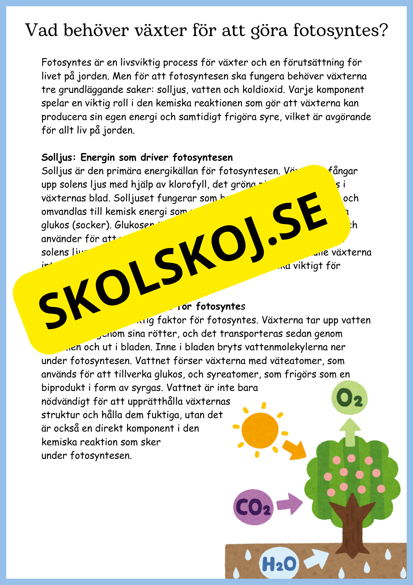 Fotosyntes - Växternas energi - Årskurs 4 - 6