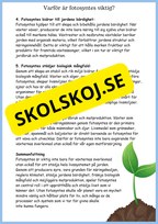 Fotosyntes - Växternas energi - Årskurs 4 - 6