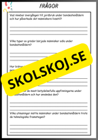 Från sten- till järnåldern