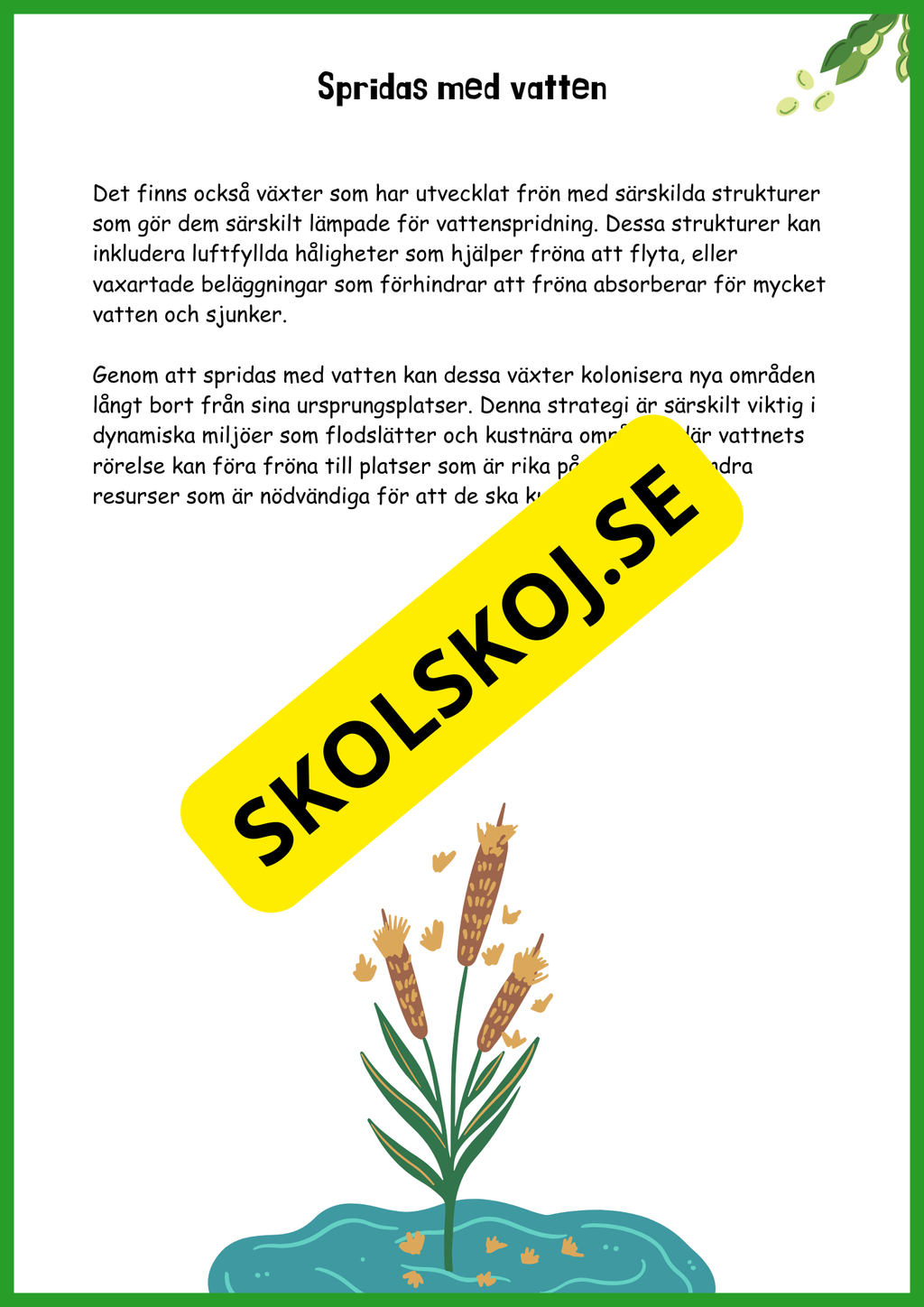 Fröspridning på hösten - Årskurs 4