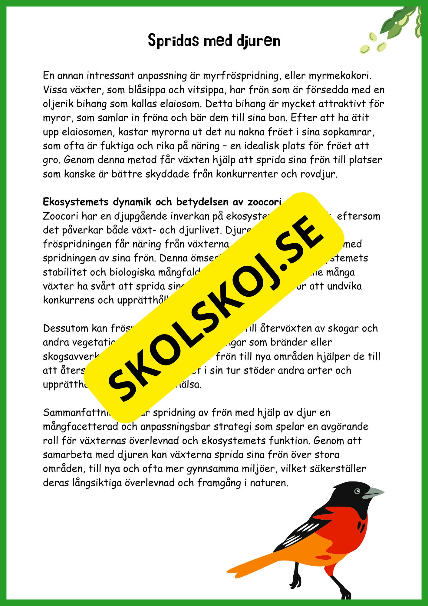 Fröspridning på hösten - Årskurs 4