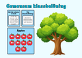 Gemensam klassbelöning - Äppelträd