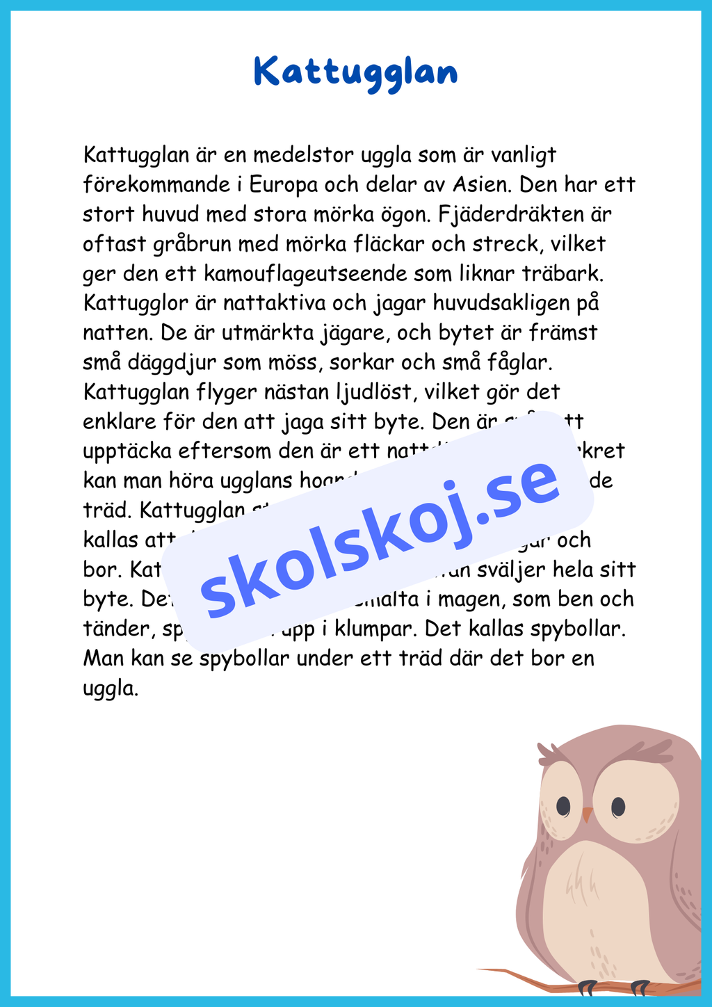 Gör dig redo för nationella prov i åk 3