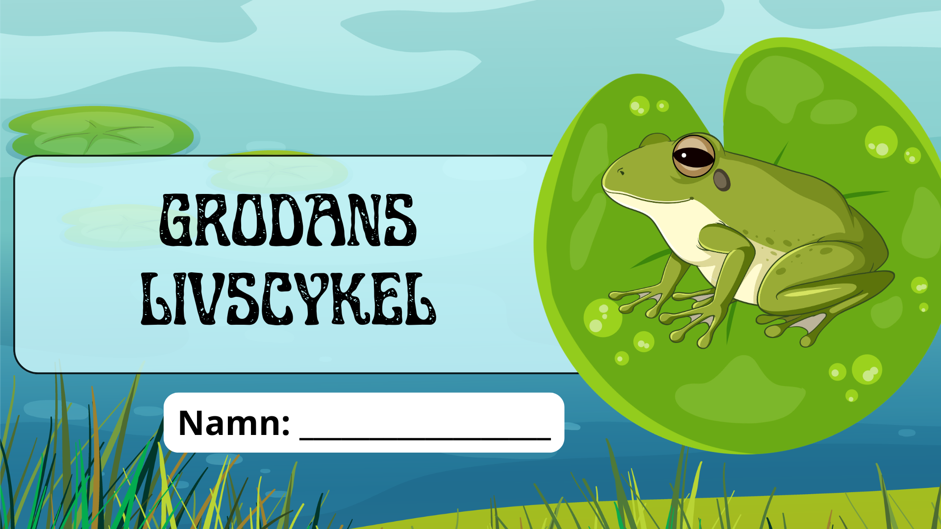 Grodans livscykel - Fakta + frågor