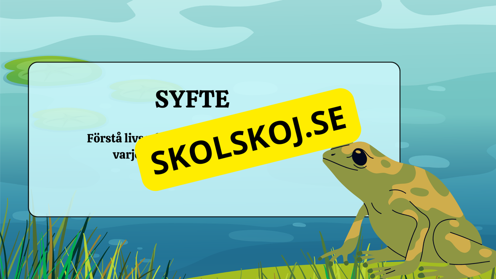Grodans livscykel - Fakta + frågor