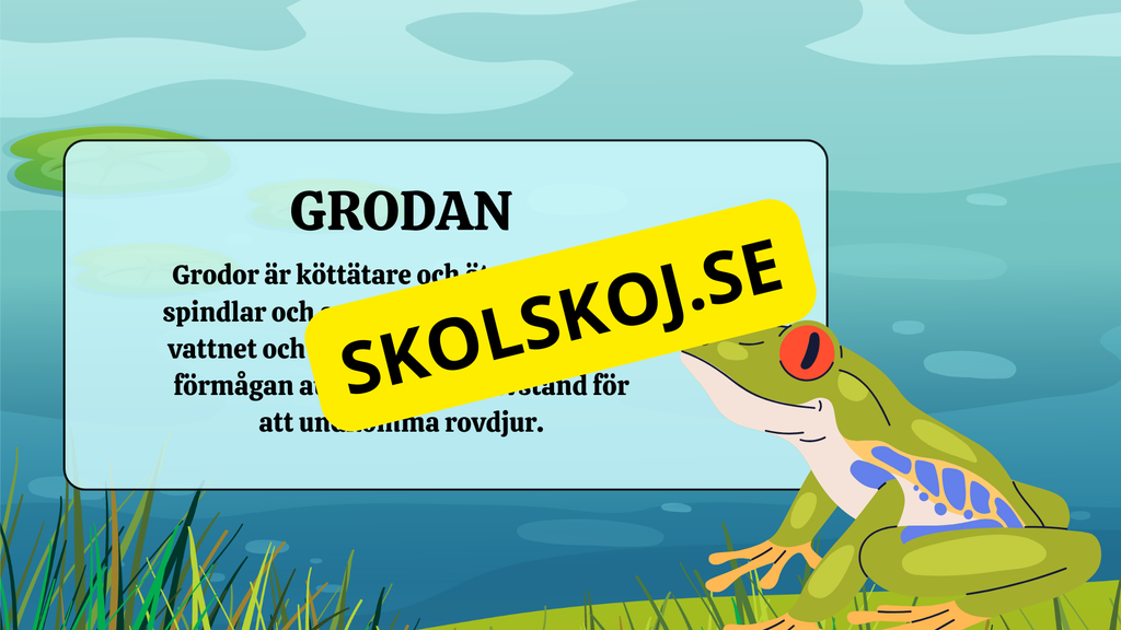 Grodans livscykel - Fakta + frågor