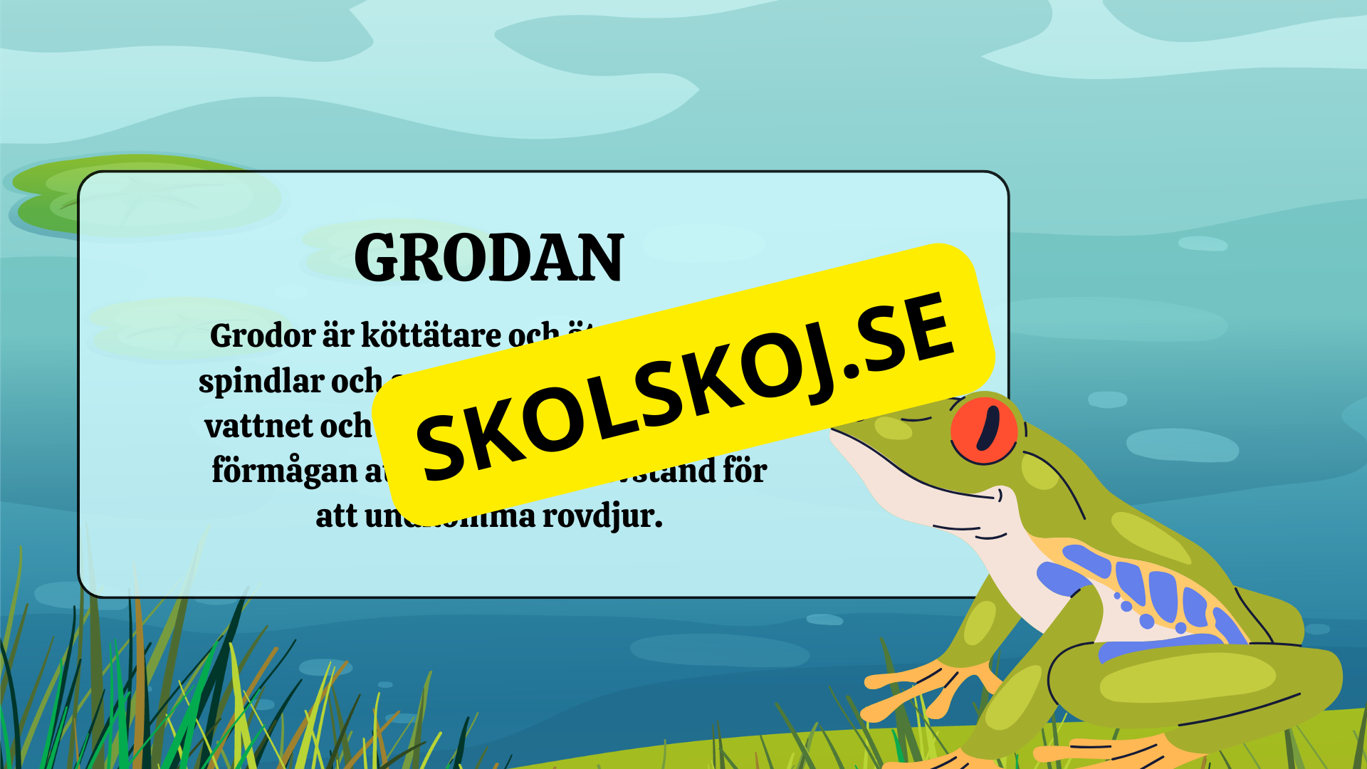 Grodans livscykel - Fakta + frågor
