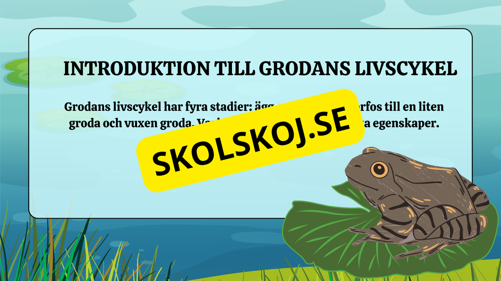 Grodans livscykel - Fakta + frågor