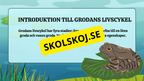 Grodans livscykel - Fakta + frågor