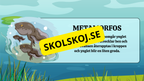 Grodans livscykel - Fakta + frågor