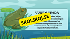 Grodans livscykel - Fakta + frågor