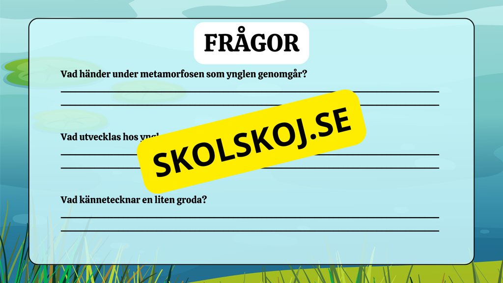 Grodans livscykel - Fakta + frågor