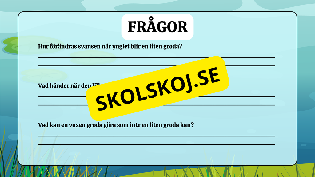 Grodans livscykel - Fakta + frågor