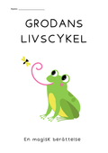 Grodans livscykel