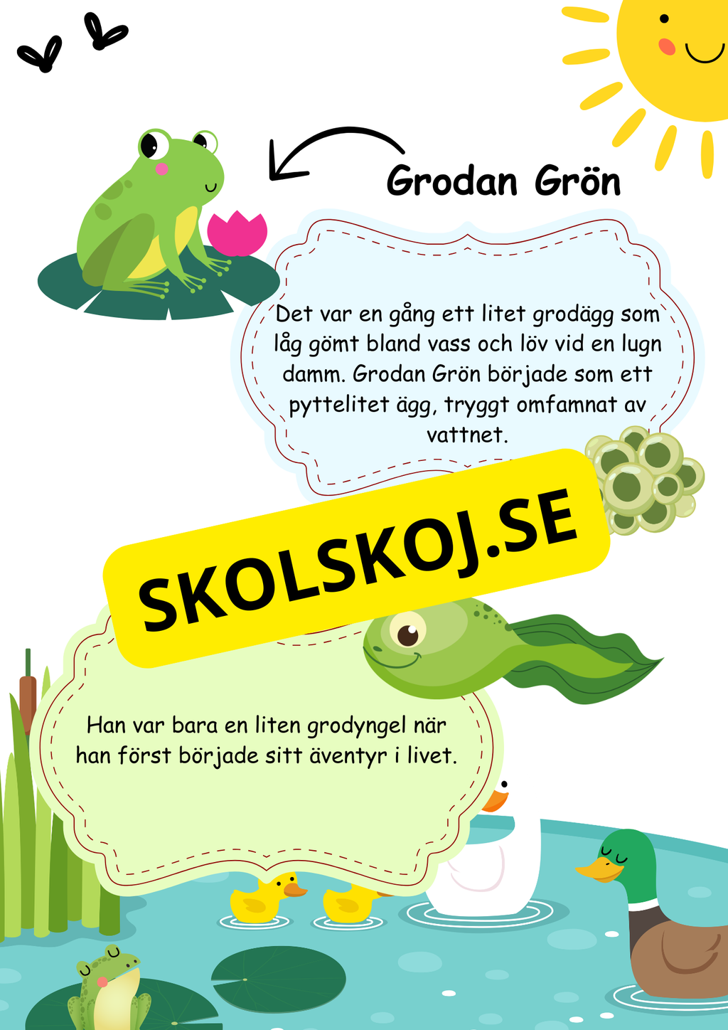 Grodans livscykel