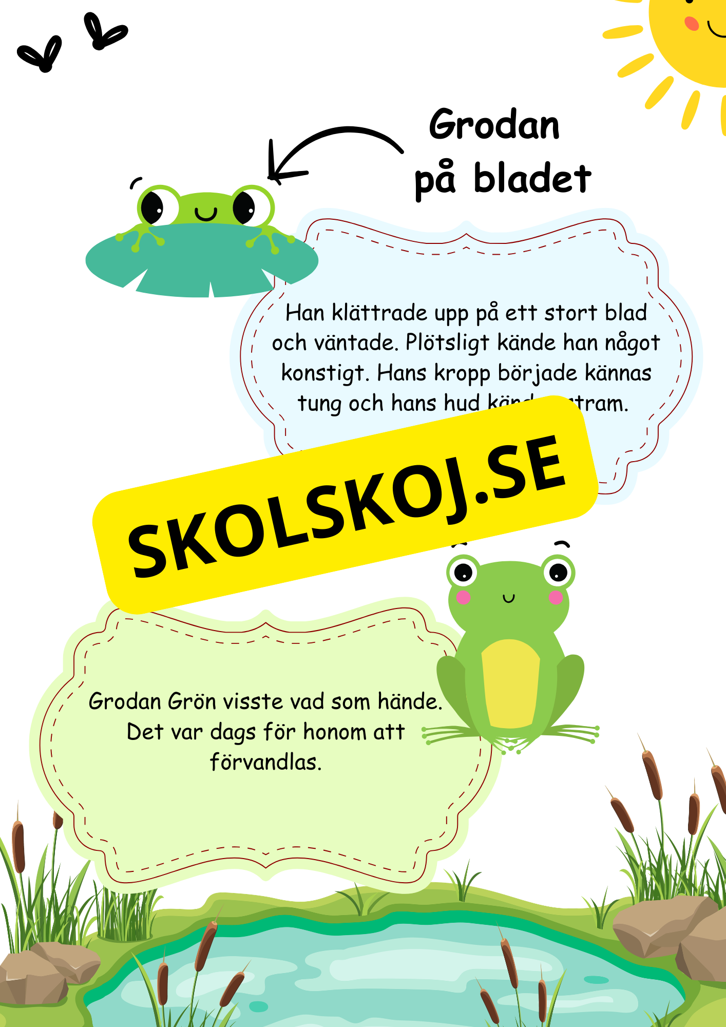 Grodans livscykel